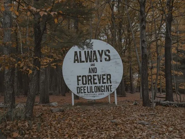 Always and Forever" in 50+ Different Languages