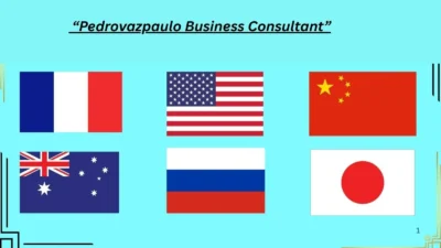 “Pedrovazpaulo Business Consultant”