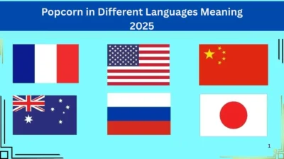 Popcorn in Different Languages Meaning 2025